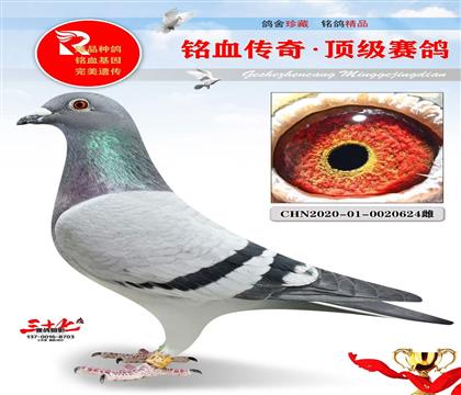 Ҽ�Ÿ��ᡢ�±���ʱ��������Ů