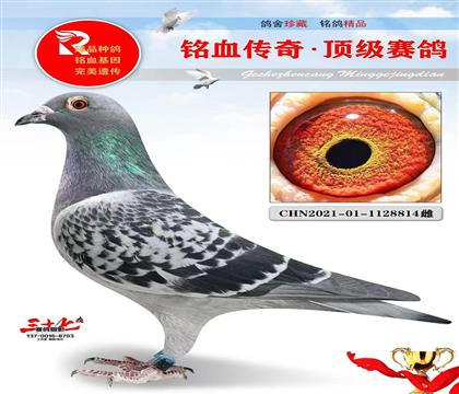 Ҽ�Ÿ��ᡢ�±���ʱ����ֱ��Ů