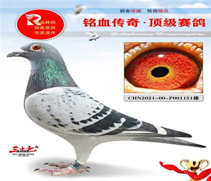 ����Ҽ�š��ٶ�����ֱ��