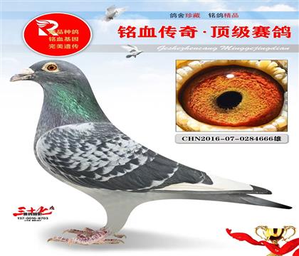 ǧ����ھ���ǧ�����Ǿ�