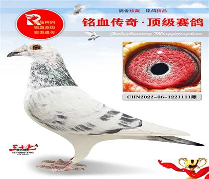 ���������׹ù�