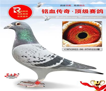 �ƽ��ֱ�ӡ������ھ�ͬ��ĸ