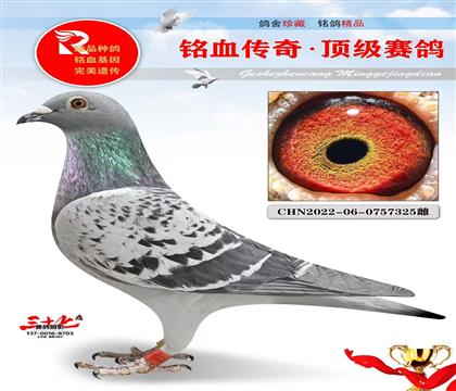 �ƽ��ֱŮ�������ھ�ͬ��ĸ