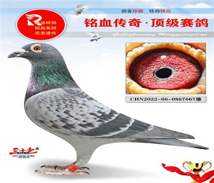 ���´�ͷ��ֱ��ر�ʵս