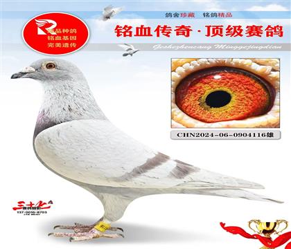 �ٷְٷ��ǲ���