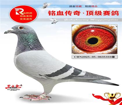 ��Ӧ�ݸǱ�887����