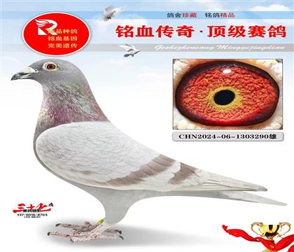 ��Ѫ���ǲ��ˡ��ر��