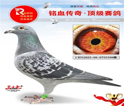 �ƽ��ֱŮ�������ھ�ƽ��