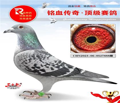 �˸��ص㡢�ն������ۻ�ѪֱŮ