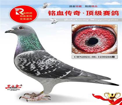 ղɭԭ���������ǳ���