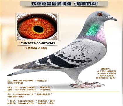 ���¡�����92����ȫƽ��