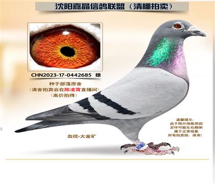 ���Ӳ���ԭ��-������롱