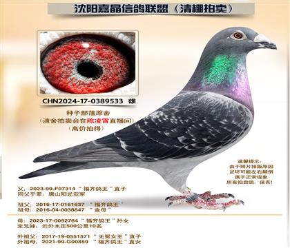 ���Ӳ���ԭ��-������롱