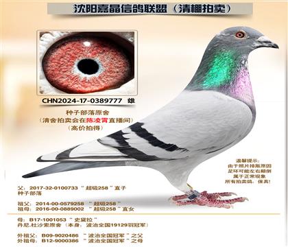 ���Ӳ���ԭ��-������롱