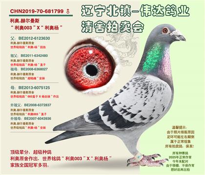 ����-��ָ����ԡ��Ӵ�