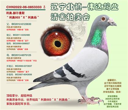 ����-��ָ����ԡ��Ӵ�