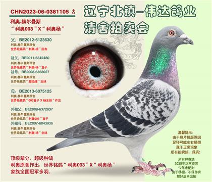 ����-��ָ����ԡ��Ӵ�