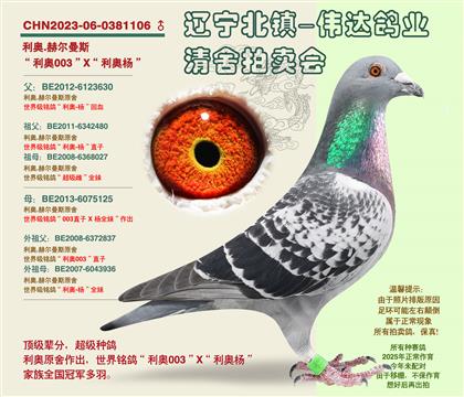 ����-��ָ����ԡ��Ӵ�