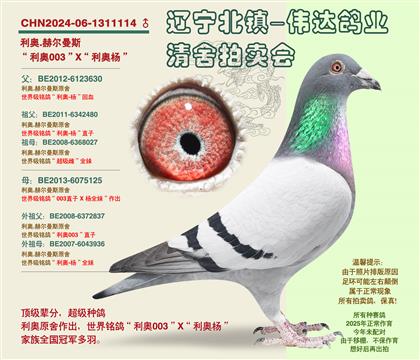 ����-��ָ����ԡ��Ӵ�