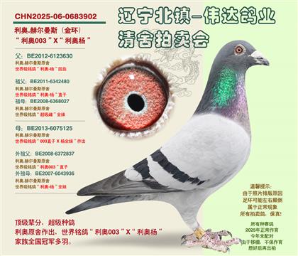 ����-��ָ����ԡ��Ӵ�