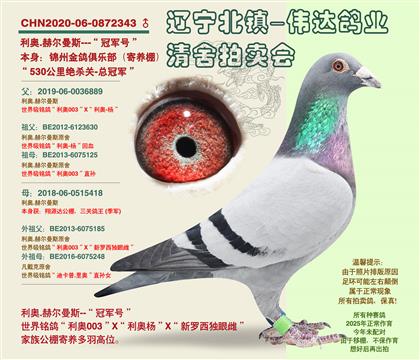 ��������-�ܹھ���