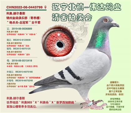 ��������-�ܹھ���ȫƽ��