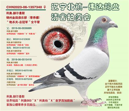 ��������-�ܹھ���ȫƽ��