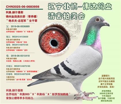 ��������-�ܹھ���ȫƽ��