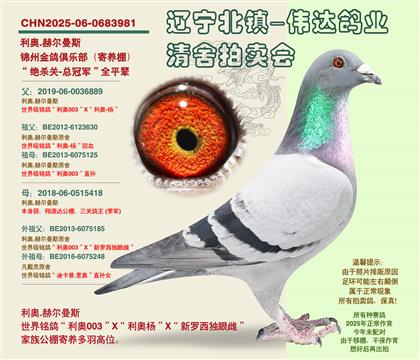 ��������-�ܹھ���ȫƽ��