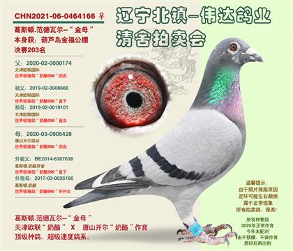 ���ٴ�ƽ�ԡ�-����203��