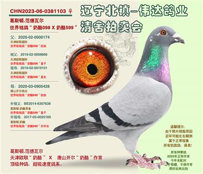 ���ٴ�ƽ�ԡ�-�����Ӵ�