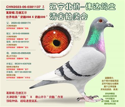 ���ٴ�ƽ�ԡ�-�����Ӵ�