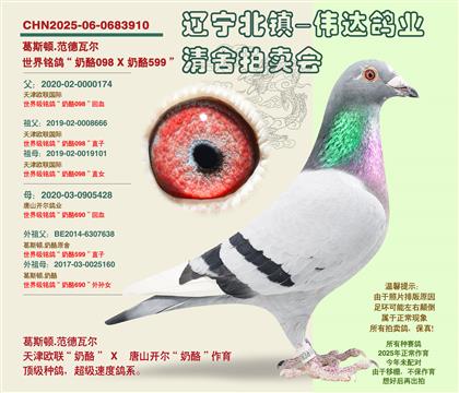 ���ٴ�ƽ�ԡ�-�����Ӵ�