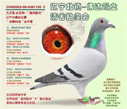 �������-������60����ȫƽ��