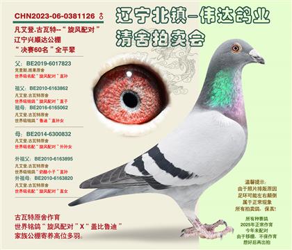 �������-������60����ȫƽ��