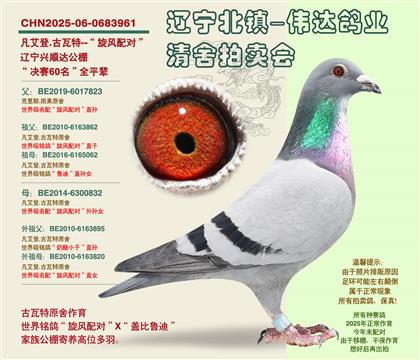 �������-������60����ȫƽ��