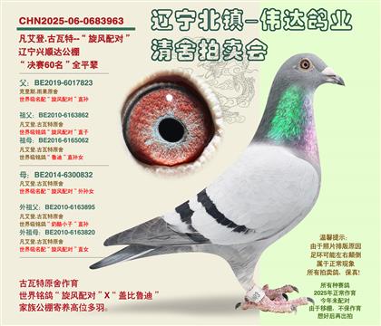 �������-������60����ȫƽ��