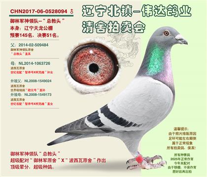 ���־�-������51����