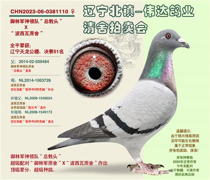 ���־�-������51����ȫƽ��