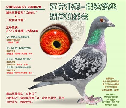 ���־�-������51����ȫƽ��