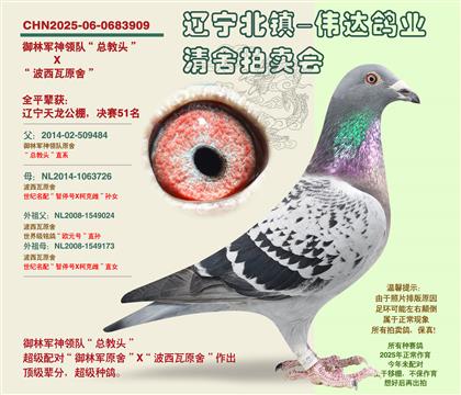 ���־�-������51����ȫƽ��