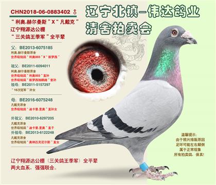 ����-���������������ȫƽ��