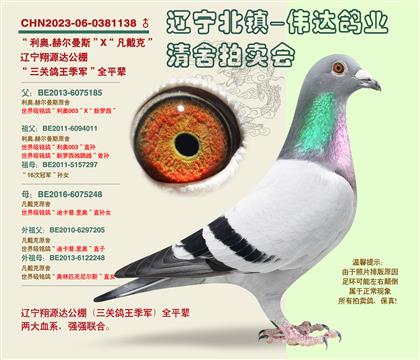 ����-���������������ȫƽ��