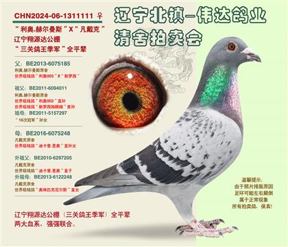 ����-���������������ȫƽ��