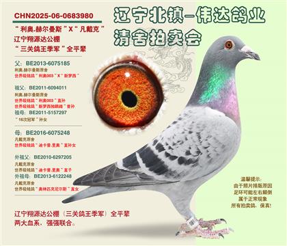 ����-���������������ȫƽ��