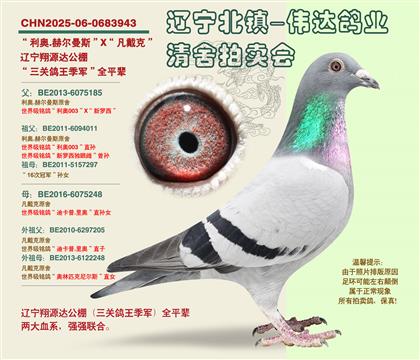 ����-���������������ȫƽ��