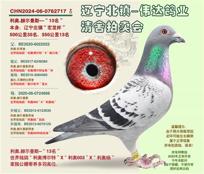 ����.�ն���˹-���귢13����