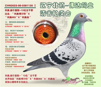 ����-���귢13����ȫƽ��