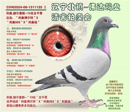 ����-���귢13����ȫƽ��