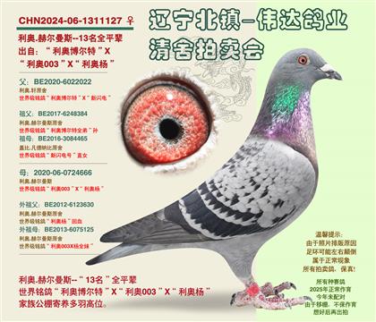 ����-���귢13����ȫƽ��